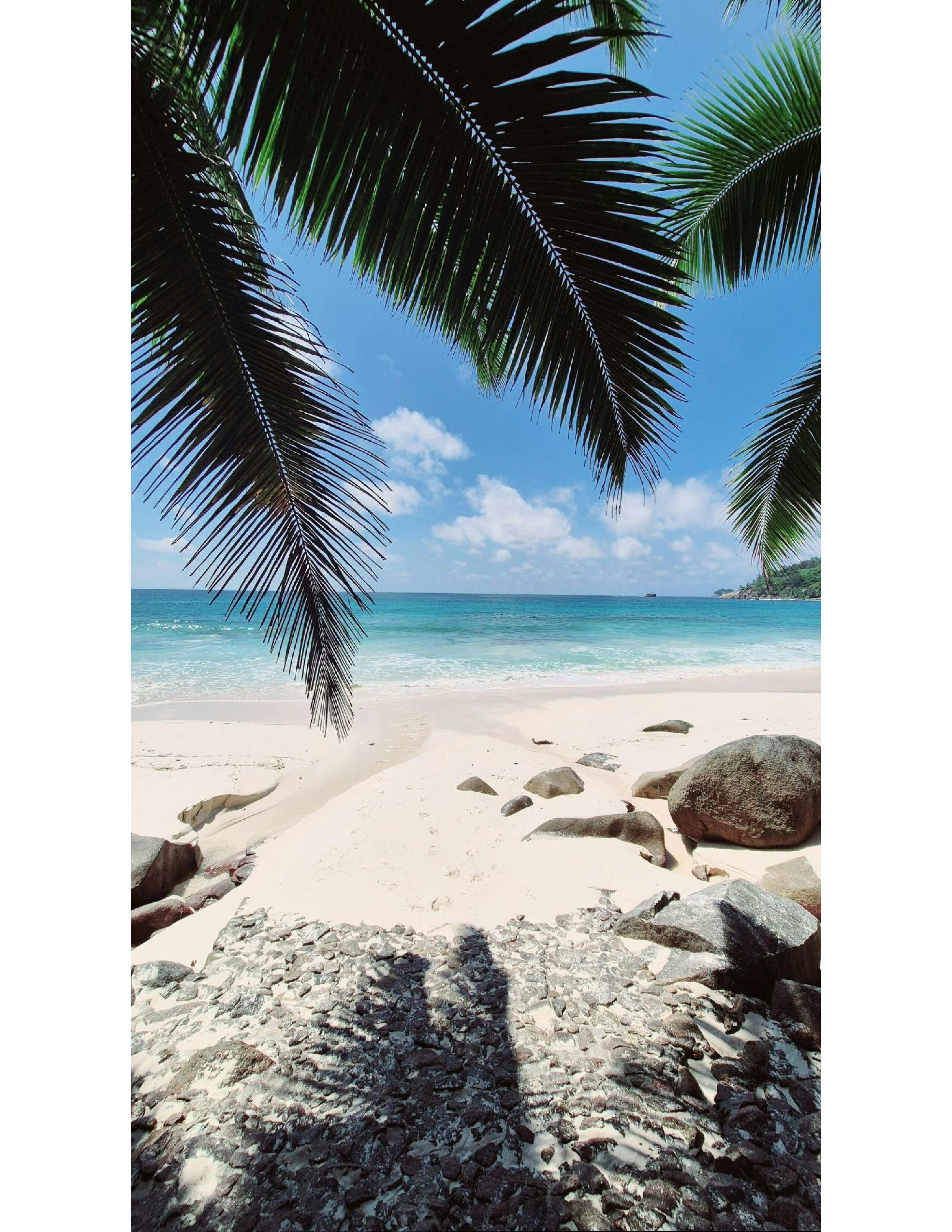 SEYCHELLES HOLIDAYS